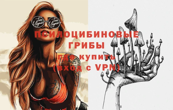 спиды Бородино