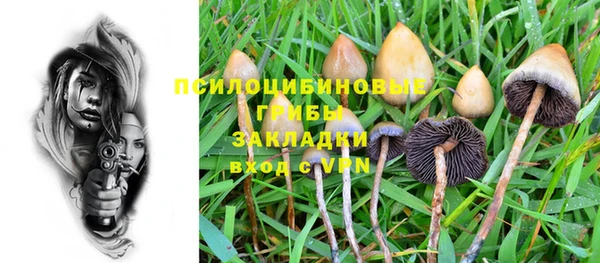 спиды Бородино