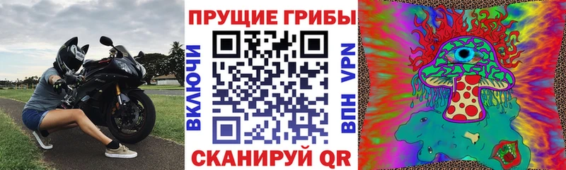 Псилоцибиновые грибы Magic Shrooms  Можайск 