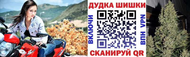 МЕГА маркетплейс  купить наркотик  Можайск  Бошки марихуана план 